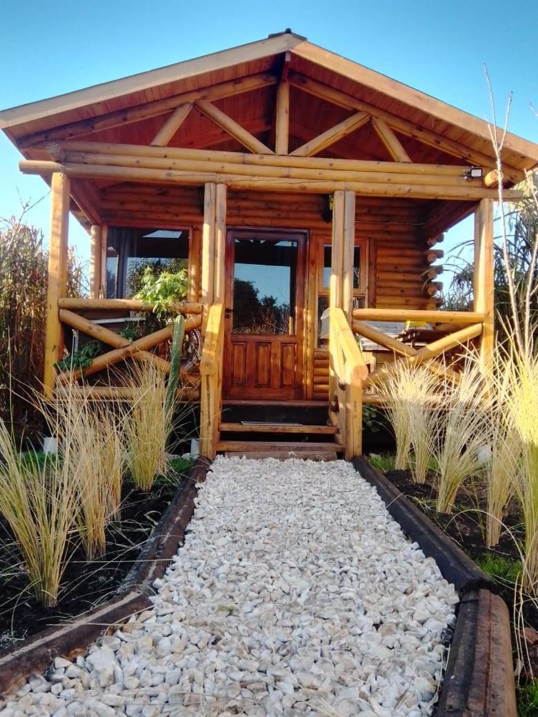 Foresta Acantilados, Casa Container Y Cabana De Troncos مار ديل بلاتا المظهر الخارجي الصورة