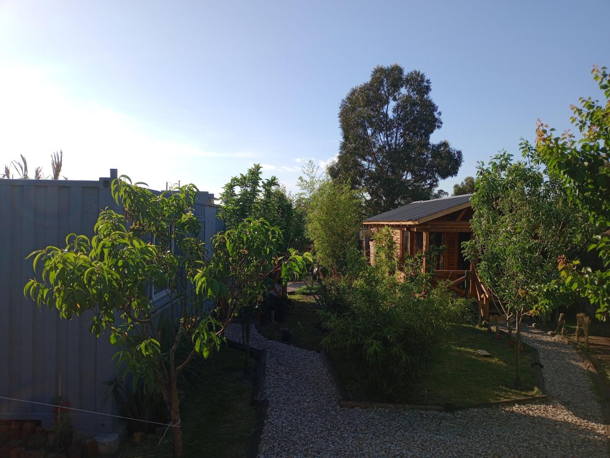 Foresta Acantilados, Casa Container Y Cabana De Troncos مار ديل بلاتا المظهر الخارجي الصورة