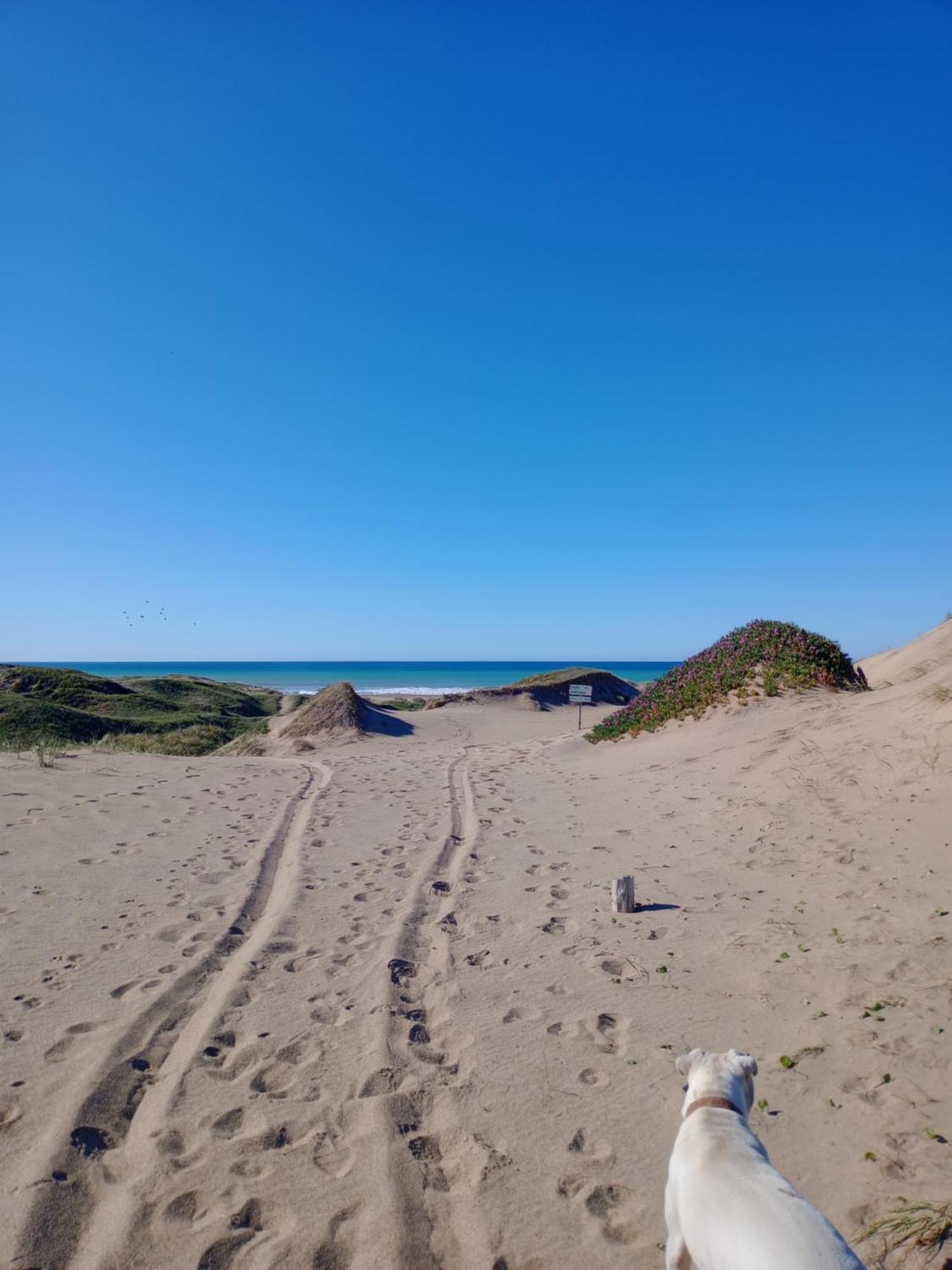 Foresta Acantilados, Casa Container Y Cabana De Troncos مار ديل بلاتا المظهر الخارجي الصورة