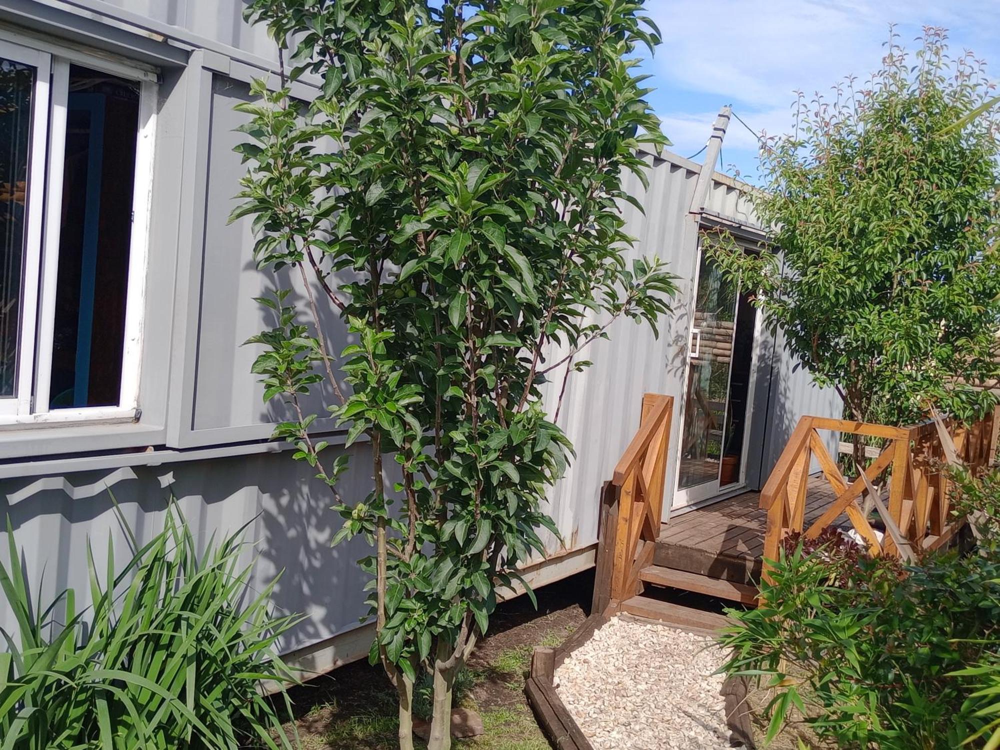 Foresta Acantilados, Casa Container Y Cabana De Troncos مار ديل بلاتا المظهر الخارجي الصورة